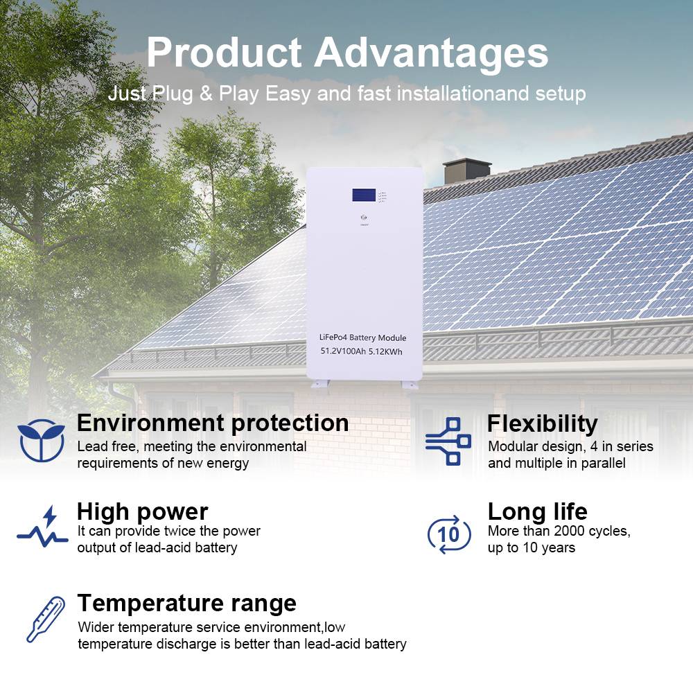 EVE Cell  PL UA STOCK NO TAX Home Lifepo4 Battery 51.2v 5kwh 10kwh Lithium Ion Batteries Solar Power Storage Wall Mount System 48v 200ah Energy