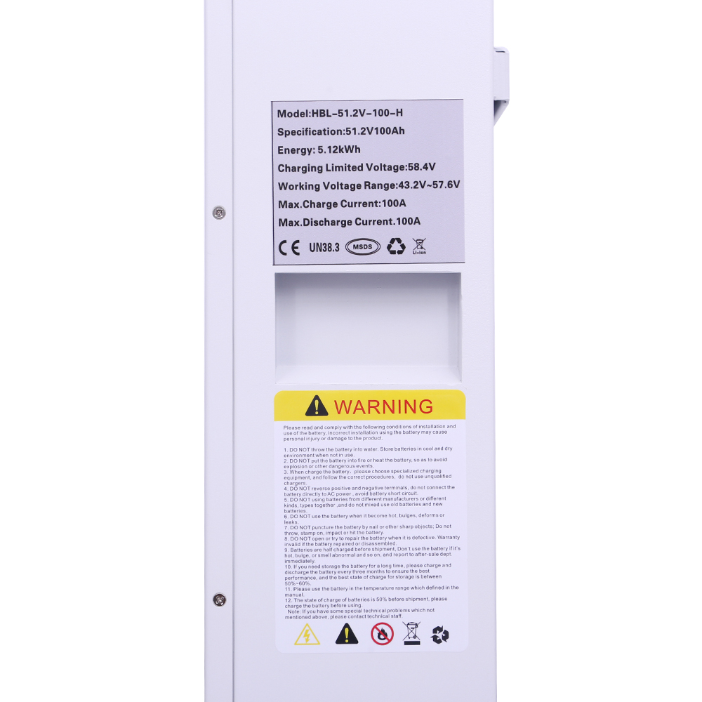 EVE Cell  PL UA STOCK NO TAX Home Lifepo4 Battery 51.2v 5kwh 10kwh Lithium Ion Batteries Solar Power Storage Wall Mount System 48v 200ah Energy