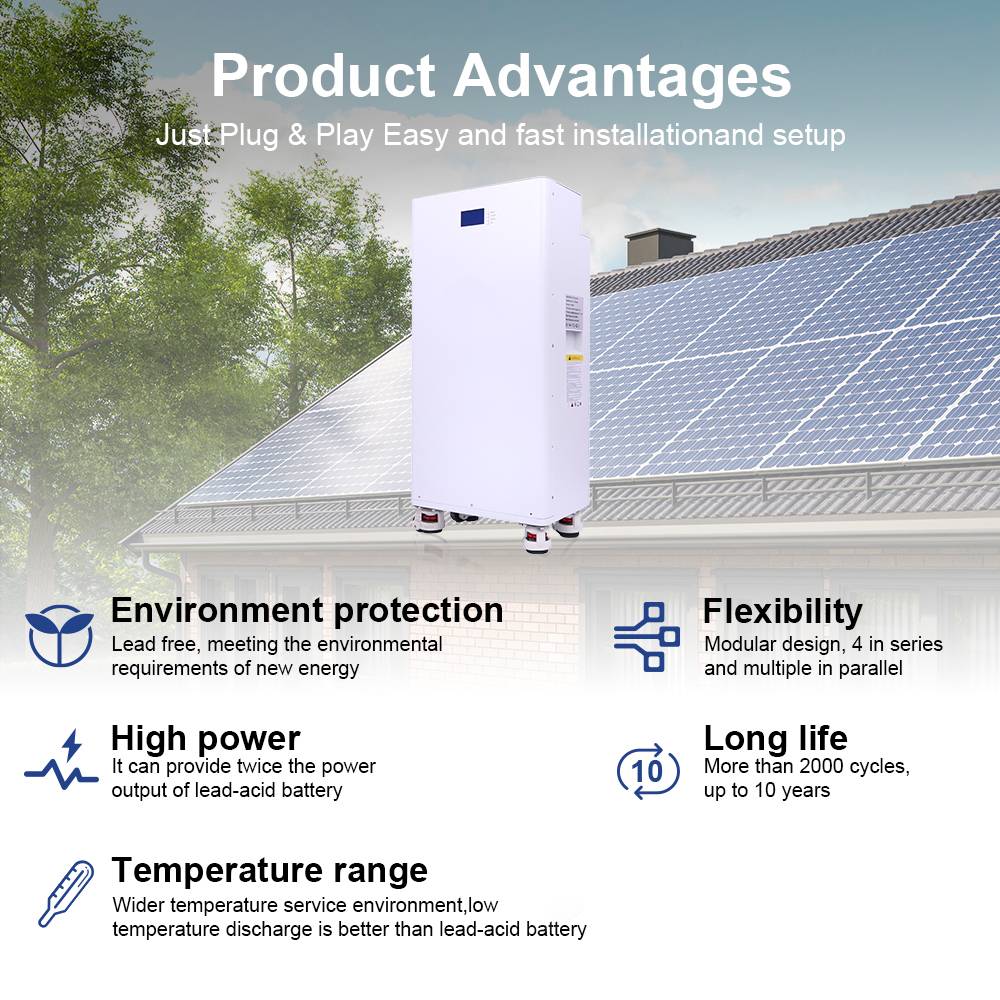 EVE Cell Grade A  Eu Stock Lithium Battery 51.2V 48V 200Ah 5Kwh 10Kwh Lifepo4 Power Wall Mounted Household Solar Power Systems